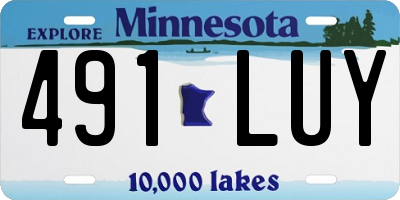 MN license plate 491LUY