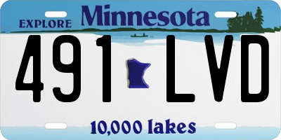 MN license plate 491LVD