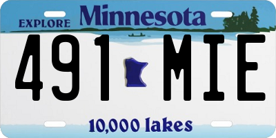 MN license plate 491MIE