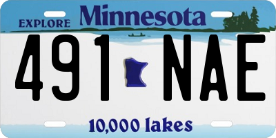 MN license plate 491NAE