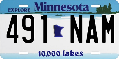 MN license plate 491NAM