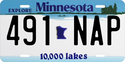 MN license plate 491NAP