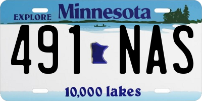 MN license plate 491NAS