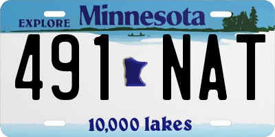 MN license plate 491NAT