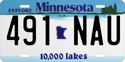 MN license plate 491NAU