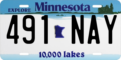 MN license plate 491NAY