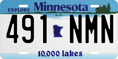 MN license plate 491NMN