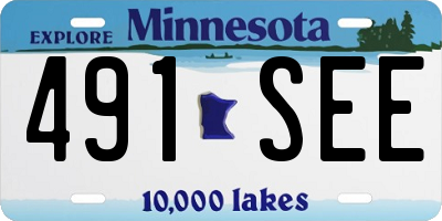 MN license plate 491SEE