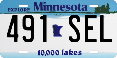 MN license plate 491SEL