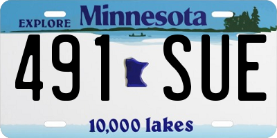 MN license plate 491SUE