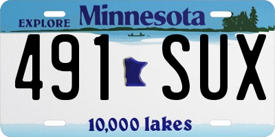 MN license plate 491SUX