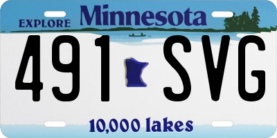 MN license plate 491SVG