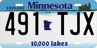 MN license plate 491TJX