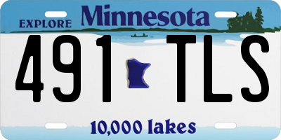 MN license plate 491TLS