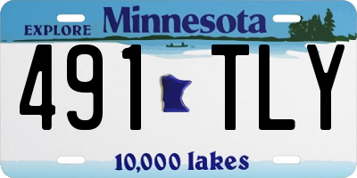 MN license plate 491TLY