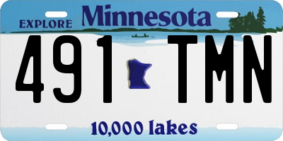 MN license plate 491TMN