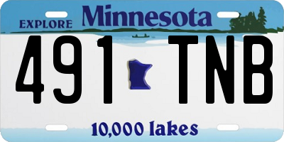 MN license plate 491TNB