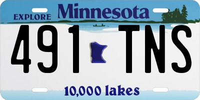 MN license plate 491TNS