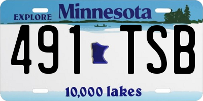 MN license plate 491TSB