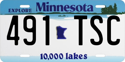 MN license plate 491TSC