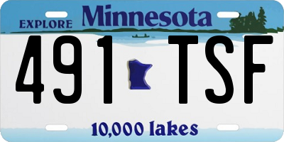 MN license plate 491TSF