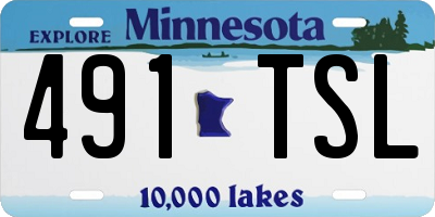 MN license plate 491TSL