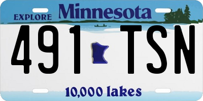 MN license plate 491TSN