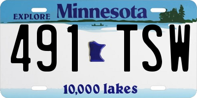 MN license plate 491TSW