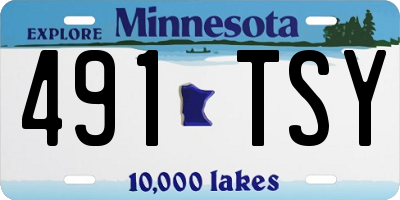 MN license plate 491TSY