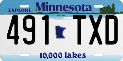 MN license plate 491TXD