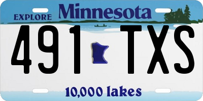 MN license plate 491TXS