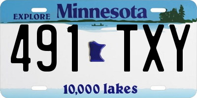 MN license plate 491TXY