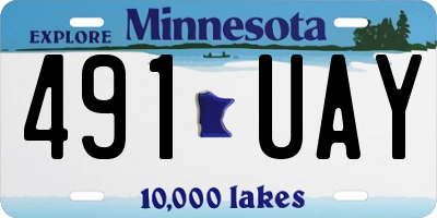 MN license plate 491UAY