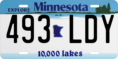 MN license plate 493LDY