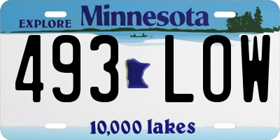MN license plate 493LOW