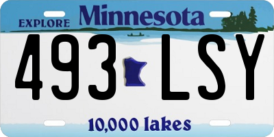 MN license plate 493LSY