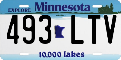MN license plate 493LTV
