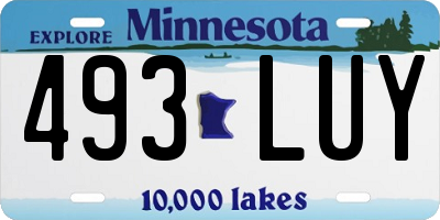 MN license plate 493LUY