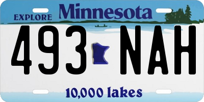 MN license plate 493NAH