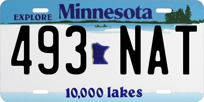 MN license plate 493NAT