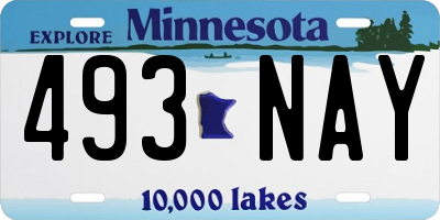 MN license plate 493NAY
