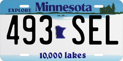 MN license plate 493SEL
