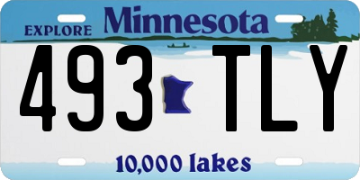 MN license plate 493TLY