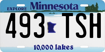 MN license plate 493TSH