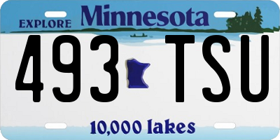 MN license plate 493TSU