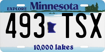 MN license plate 493TSX