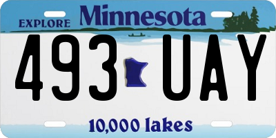 MN license plate 493UAY