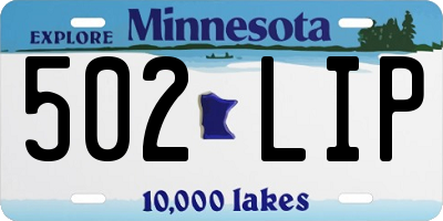 MN license plate 502LIP