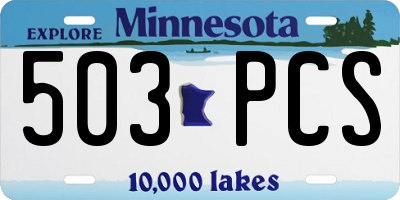 MN license plate 503PCS