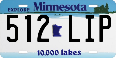 MN license plate 512LIP